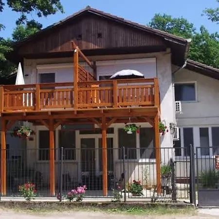 Toelgyfa Vendeghaz Guest house *