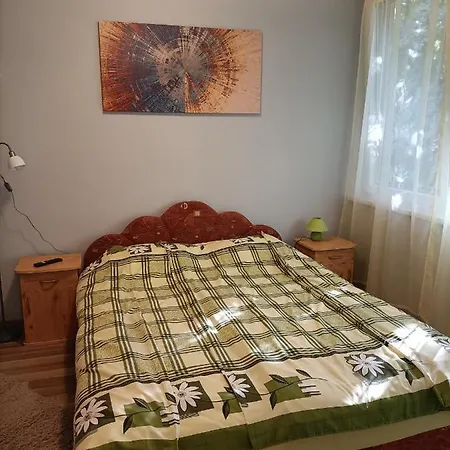 Toelgyfa Vendeghaz Guest house *