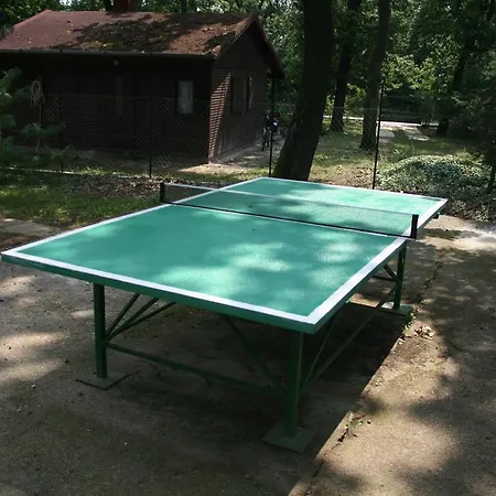 בית הארחה Toelgyfa Vendeghaz 3*