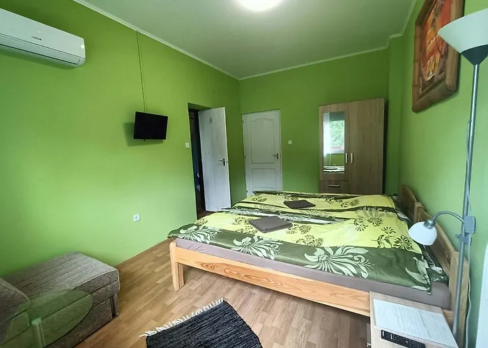 Toelgyfa Vendeghaz 3* بالاتونزيبيد